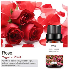 Pure Bliss Aromatherapy Set